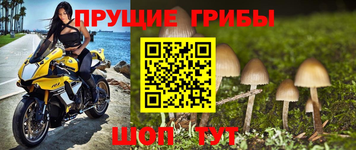 Выкса  Галлюциногенные грибы ЛСД  Вход с VPN 